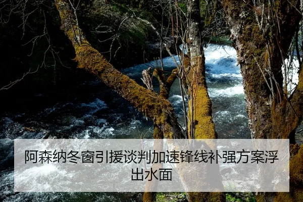 阿森纳冬窗引援谈判加速锋线补强方案浮出水面