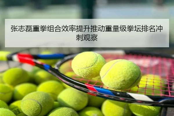 张志磊重拳组合效率提升推动重量级拳坛排名冲刺观察